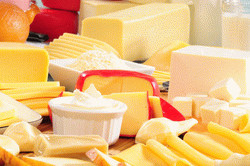 Services d'ingénierie pour les usines de fromages