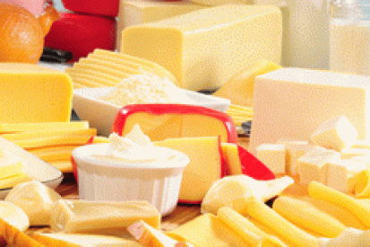 Engineering services for cheese plants